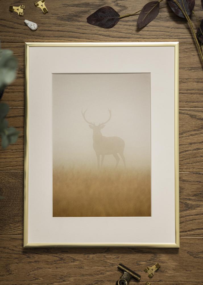Okvir Plakat Frame Aluminum Gold 15x20 cm