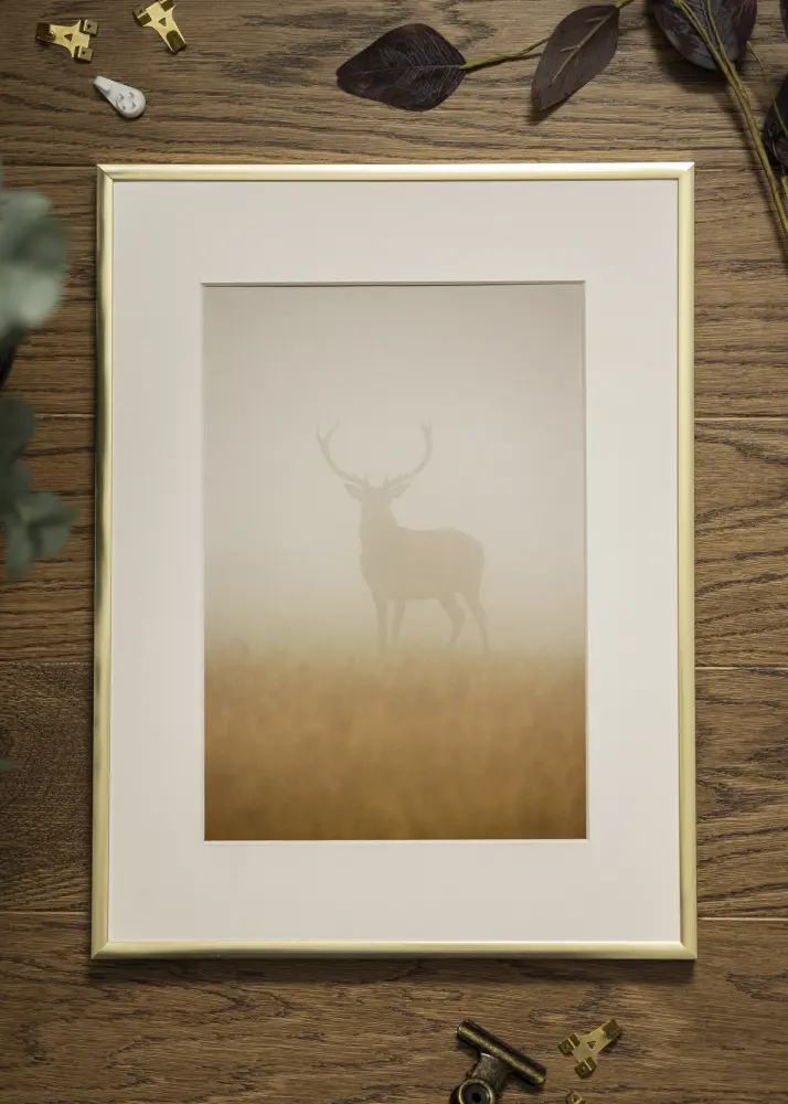 Okvir Plakat Frame Aluminum Gold 60x80 cm - Paspartu Bijelo 50x60 cm