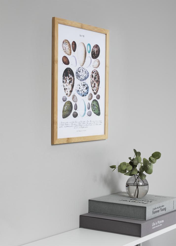 Okvir Hoei Bambus Akrilno staklo 70x100 cm