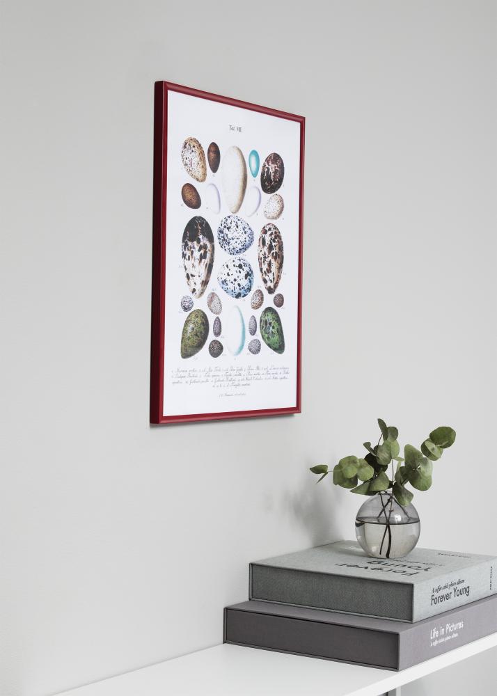 Okvir New Lifestyle Crvena 30x40 cm