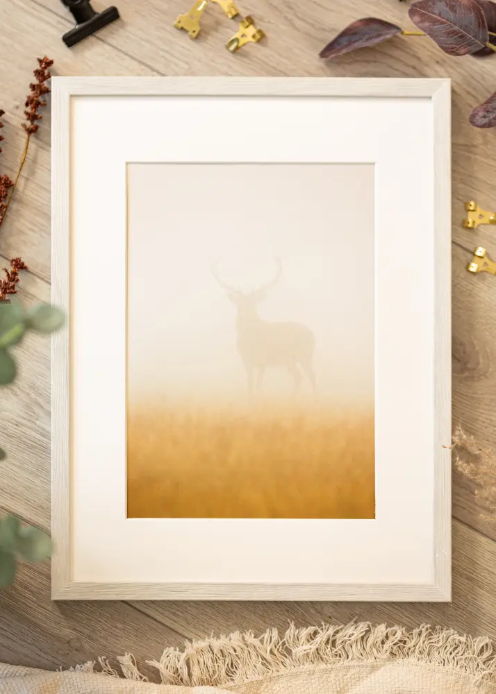 Okvir Ares Akrilno staklo White Oak 29,7x42 cm (A3)