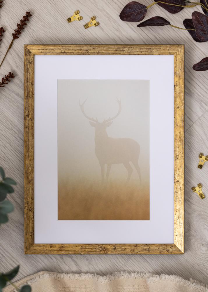 Okvir Dune Akrylglas Zlato 21x29,7 cm (A4)