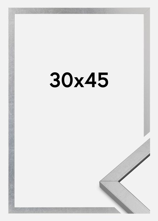 Okvir Minerva Akrilno staklo Srebro 30x45 cm