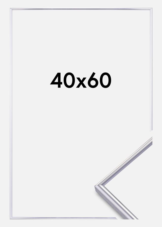 Okvir Can-Can Srebro 40x60 cm