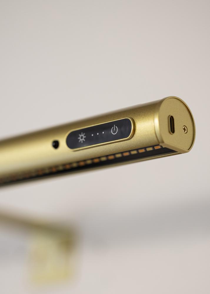 KAILA Halo Baterijsko napajanje Rasvjeta za slike 50 cm - Zlatna