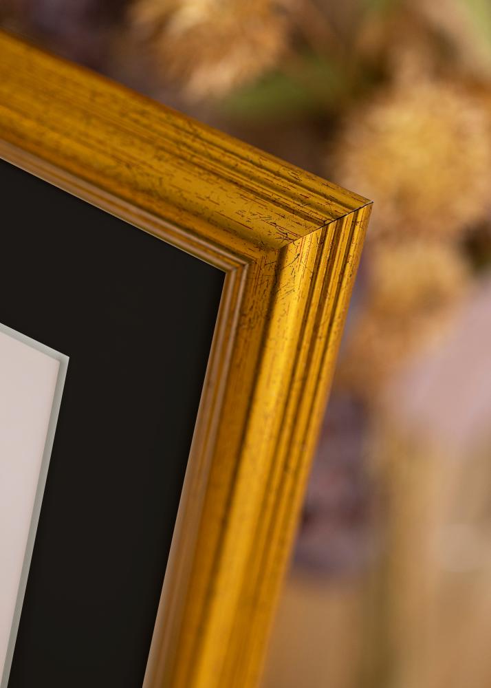 Okvir Västkusten Zlato 50x60 cm - Paspartu Crno 15x20 inches