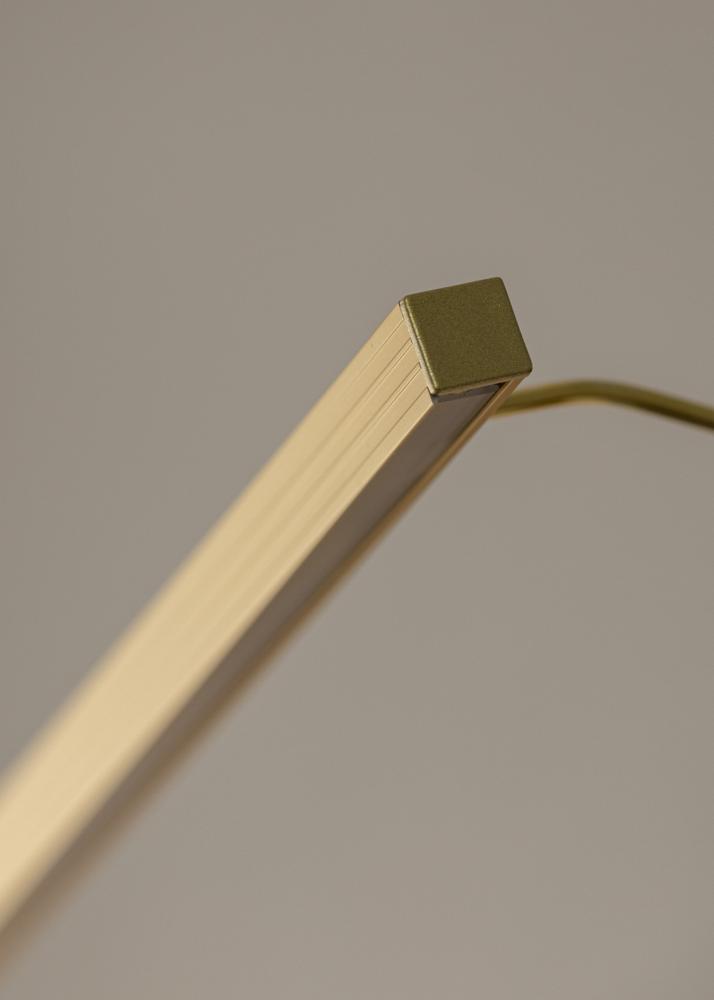 BLP 117 rasvjeta za slike 45 cm - Zlato