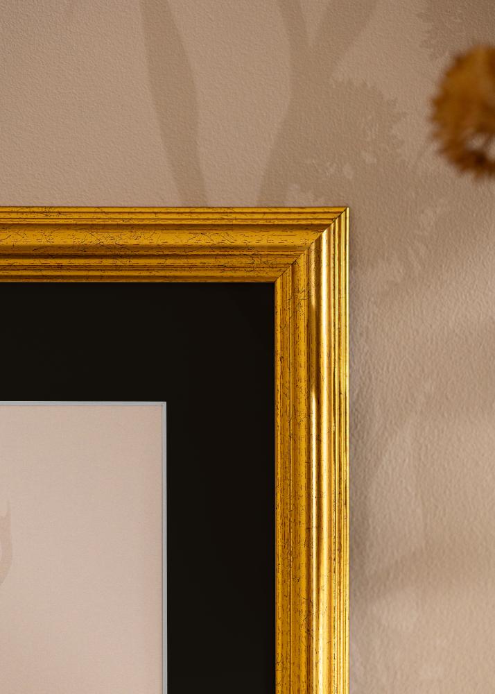 Okvir Västkusten Zlato 50x60 cm - Paspartu Crno 15x20 inches