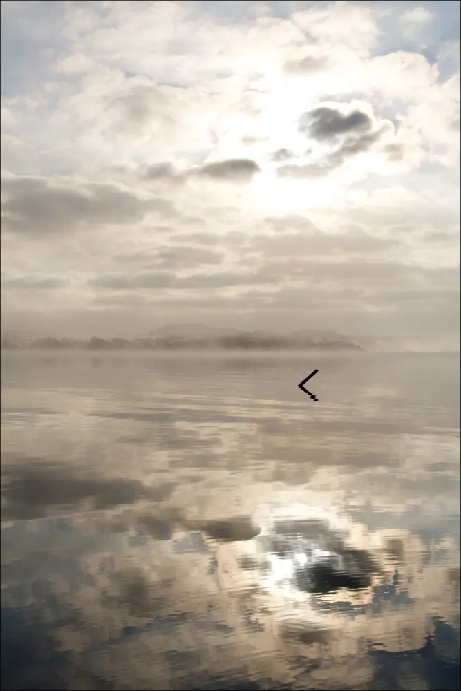 Morning fog Plakat