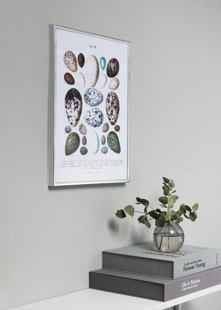 Okvir Plakat Frame Aluminum Srebro 70x100 cm - Paspartu Crno 59,4x84 cm (A1)