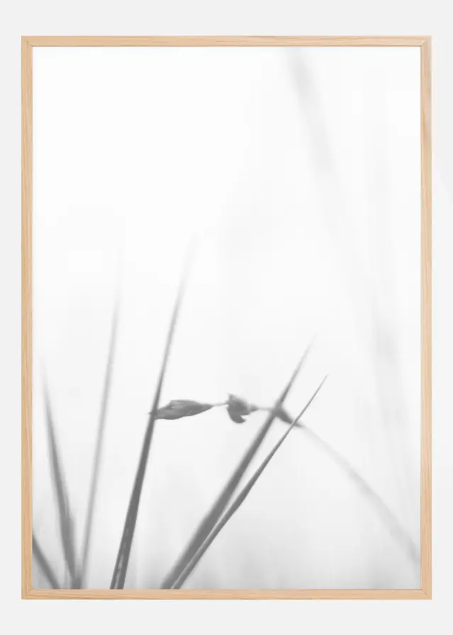 Fog Plakat