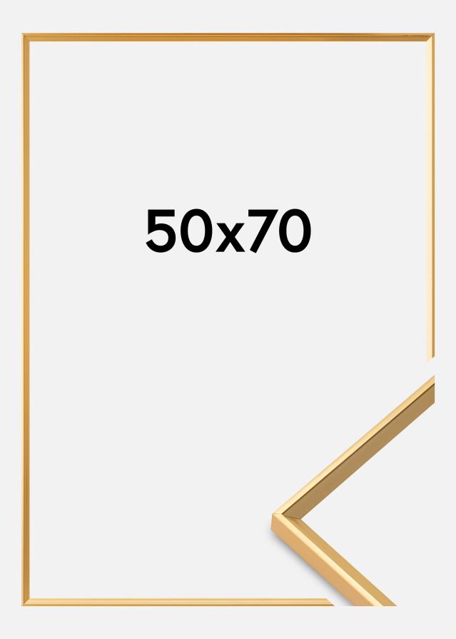 Okvir Desire Akrilno staklo Zlato 50x70 cm