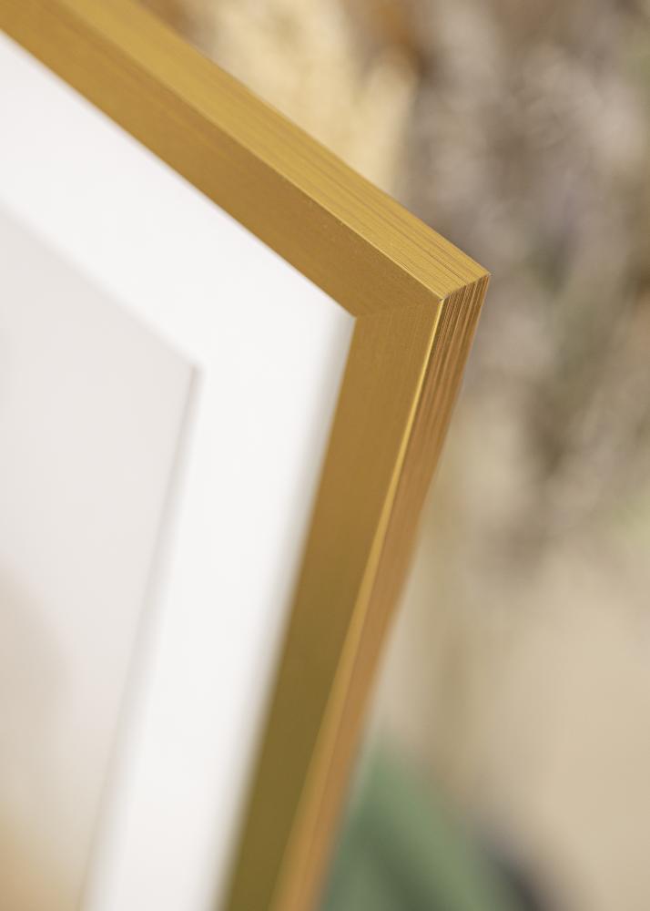 Okvir Gold Wood 18x24 cm