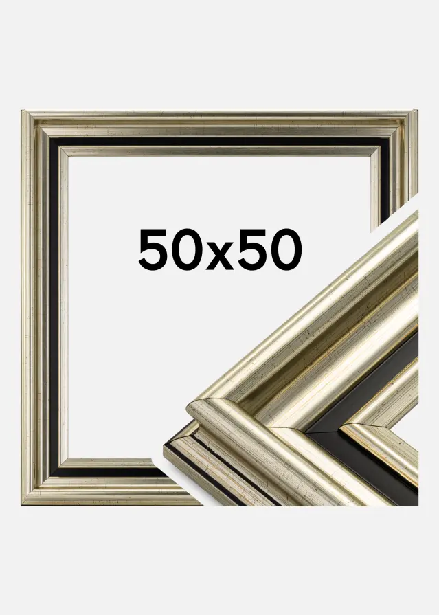 Okvir Gysinge Premium Srebro 50x50 cm