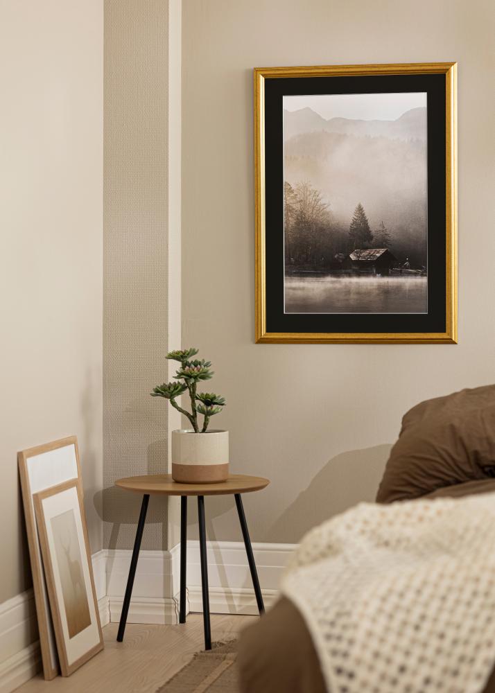 Okvir Västkusten Zlato 50x60 cm - Paspartu Crno 15x20 inches