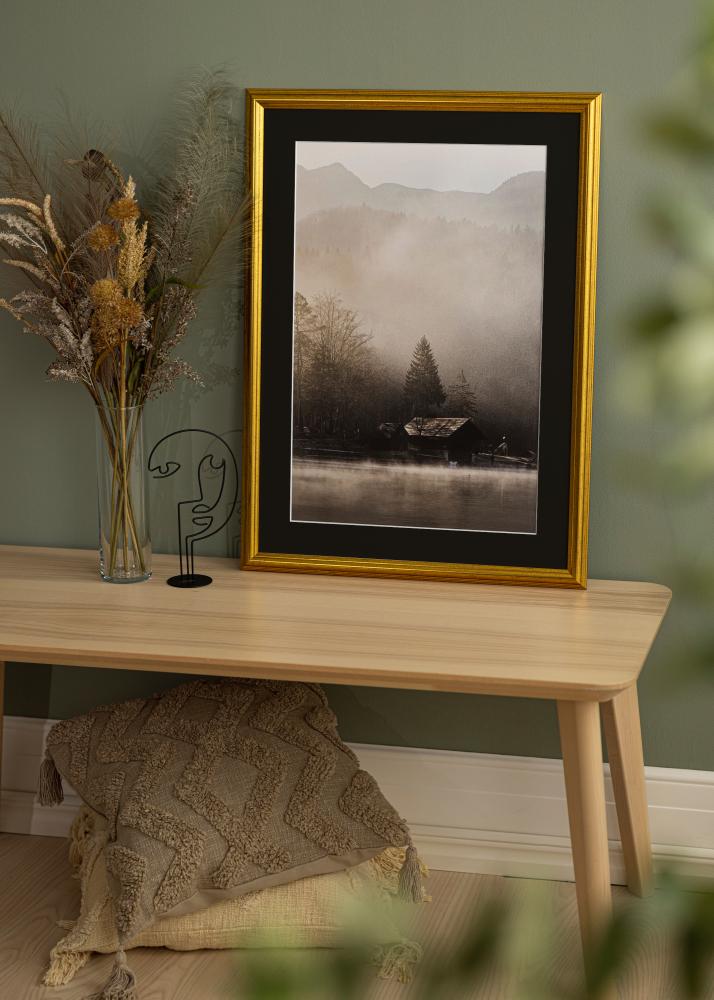 Okvir Västkusten Zlato 50x60 cm - Paspartu Crno 15x20 inches