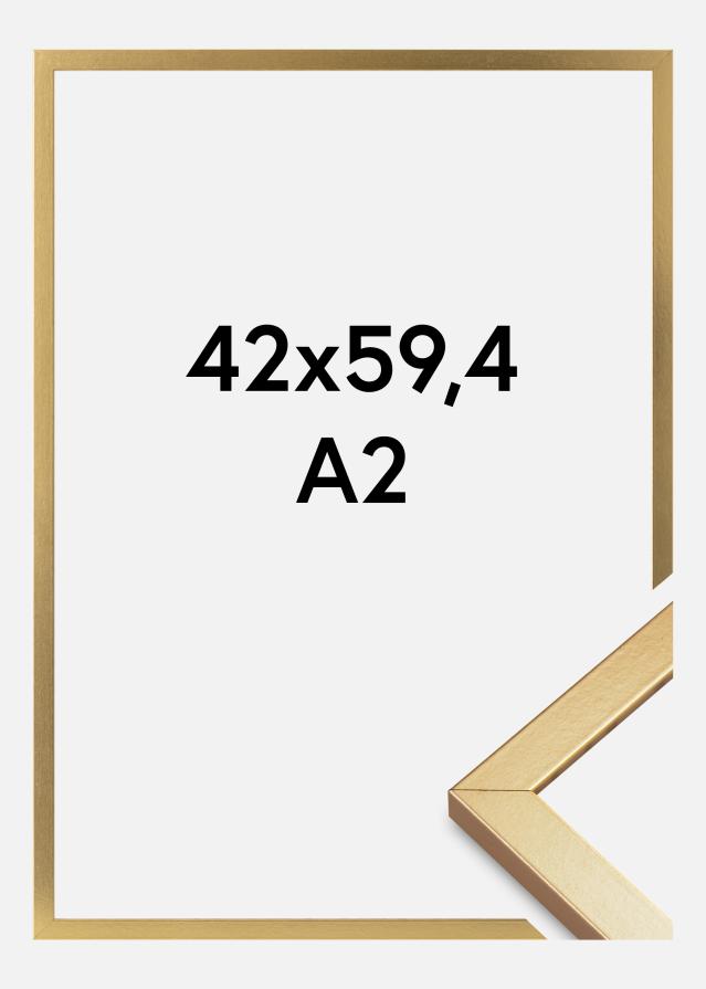 Okvir Minerva Akrilno staklo Zlato 42x59,4 cm (A2)