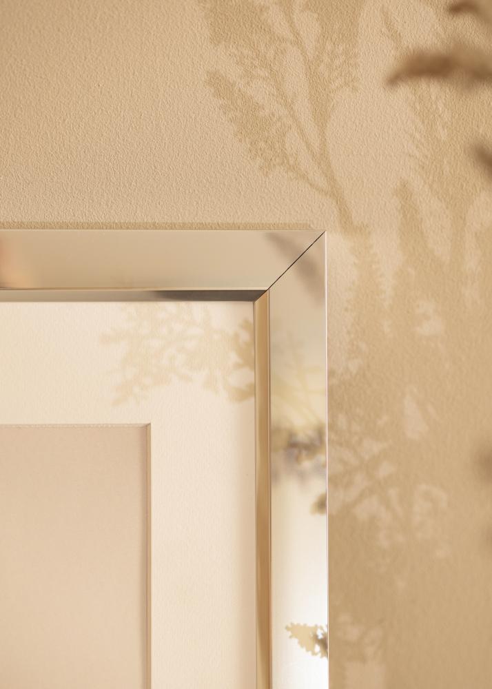 Okvir Åsarna Sjajno Srebro - Veličina po izboru