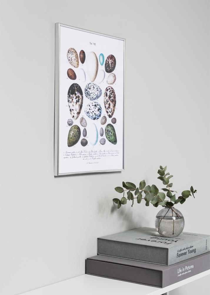 Okvir Can-Can Srebro 50x60 cm