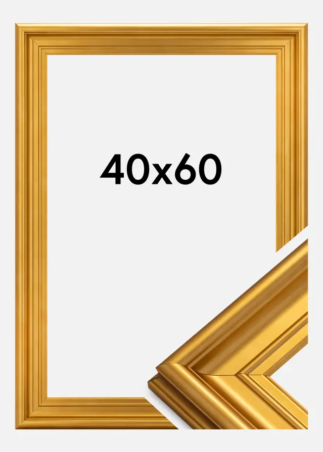 Okvir Mora Premium Zlato 40x60 cm