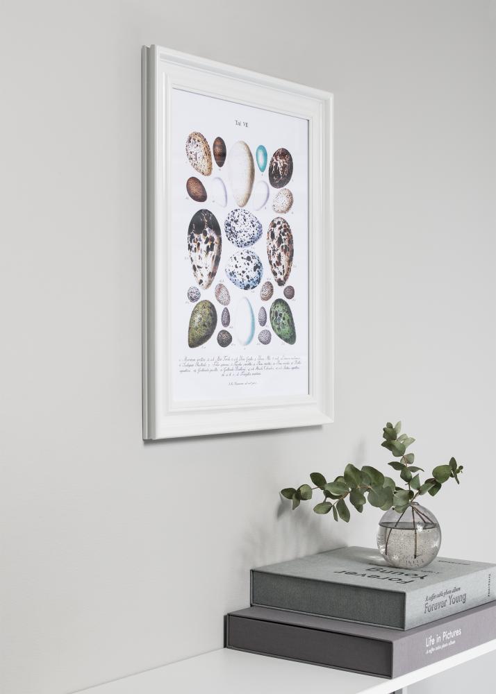 Okvir Charleston Bijelo 50x70 cm