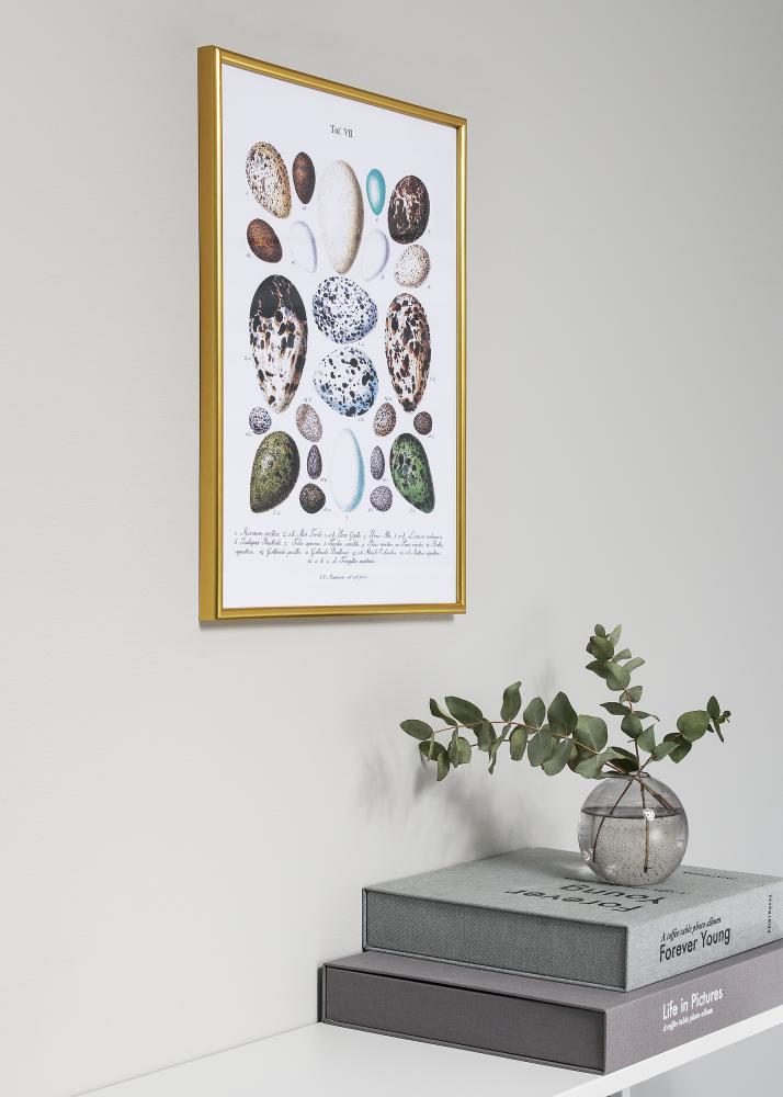 Okvir Decoline Zlato 13x18 cm