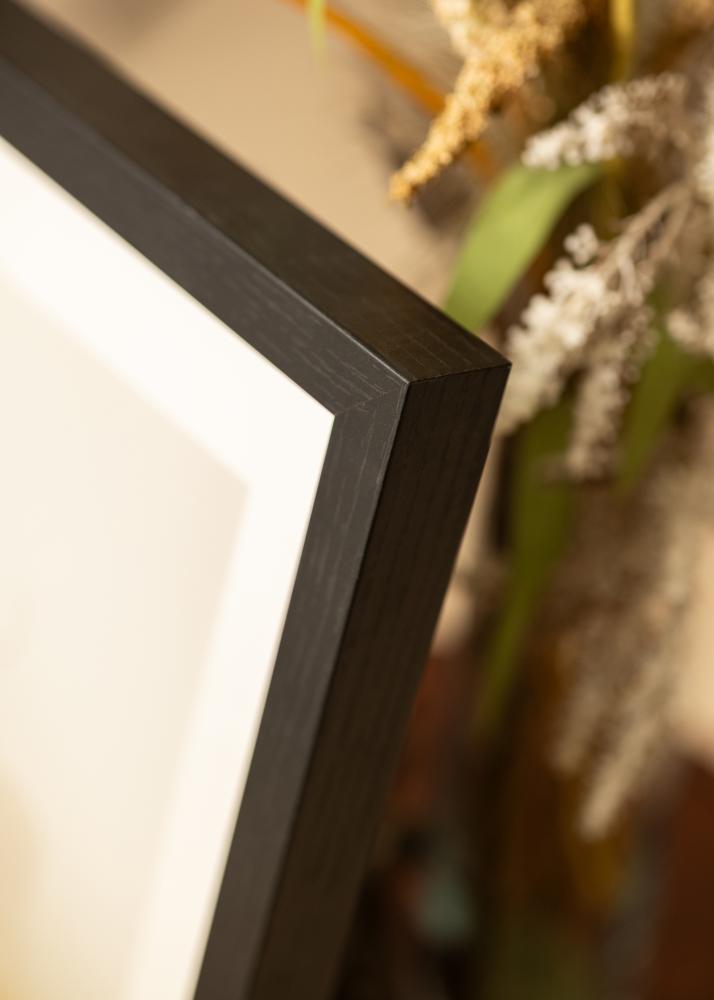 BGA Box okvir Akrilno staklo Crno 40x50 cm