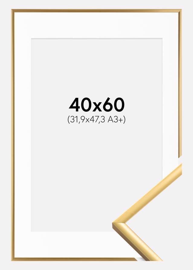 Okvir New Lifestyle Shiny Gold 40x60 cm - Paspartu Bijelo 32,9x48,3 cm (A3+)