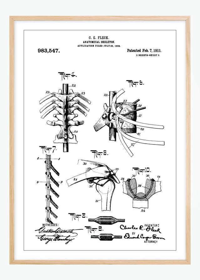 Patentni crtež - Anatomski kostur III Plakat