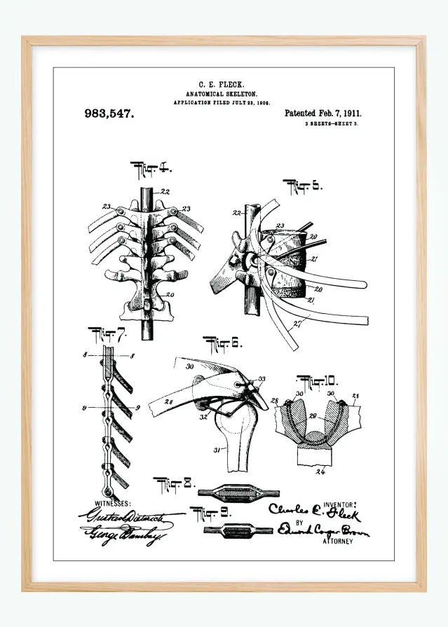Patentni crtež - Anatomski kostur III Plakat