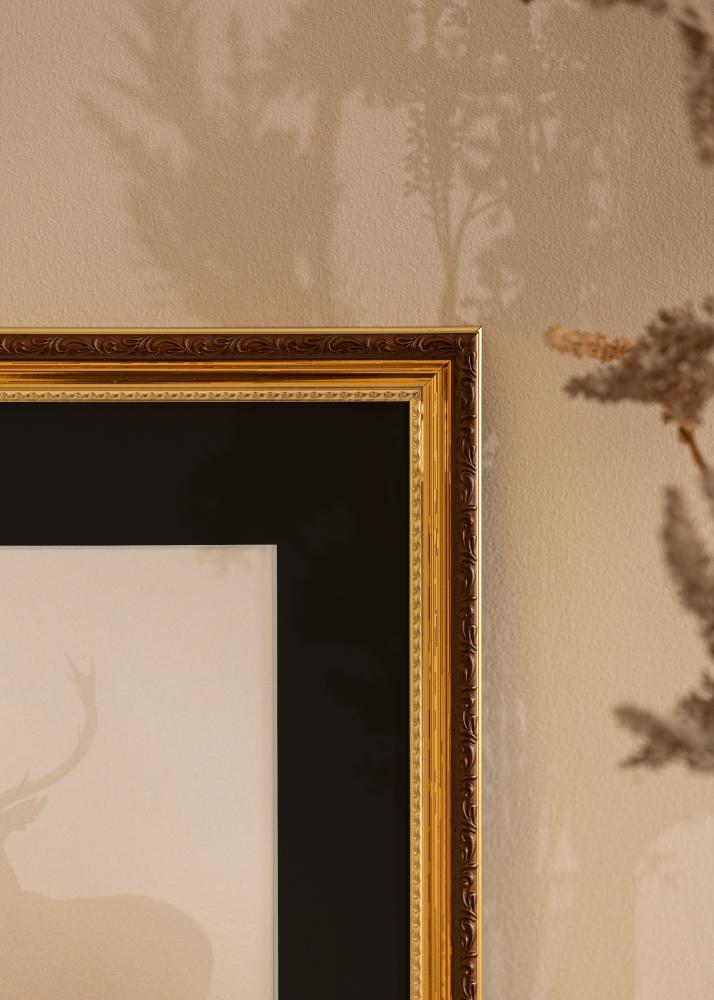 Okvir Abisko Zlato 30x40 cm - Paspartu Crno 18x27 cm