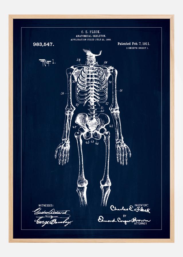 Patentni crtež - Anatomski kostur u - Plava Plakat