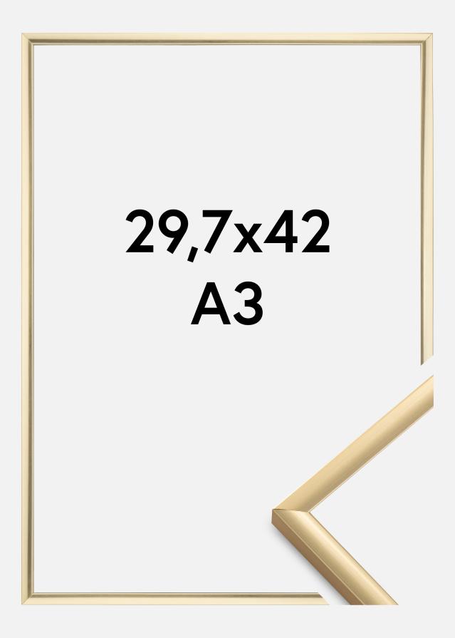 Okvir New Lifestyle Zlato 29,7x42 cm (A3)