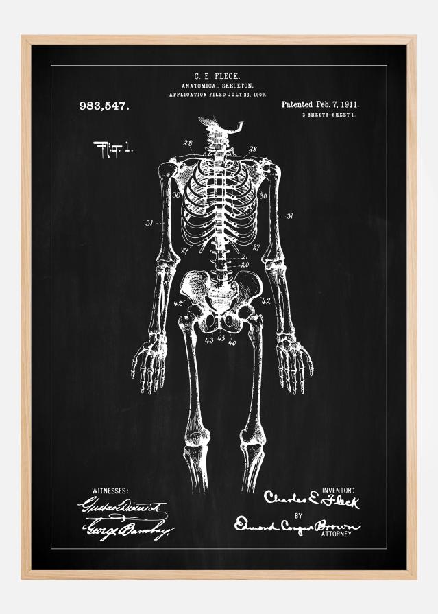 Patentni crtež - Anatomski kostur u - Crno Plakat