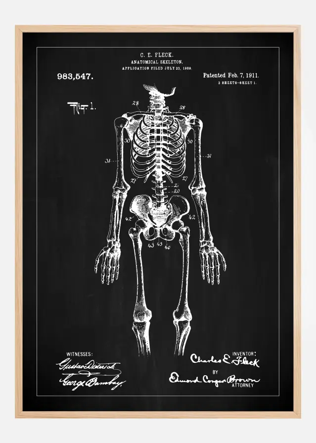 Patentni crtež - Anatomski kostur u - Crno Plakat