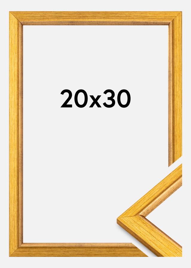 Okvir Marisa Akrylglas Zlato 20x30 cm