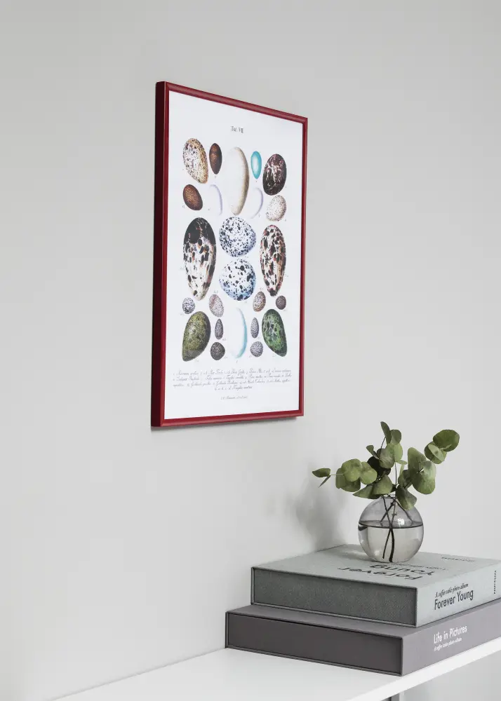 Okvir New Lifestyle Crvena 42x59,4 cm (A2) - Paspartu Bijelo 25x38 cm