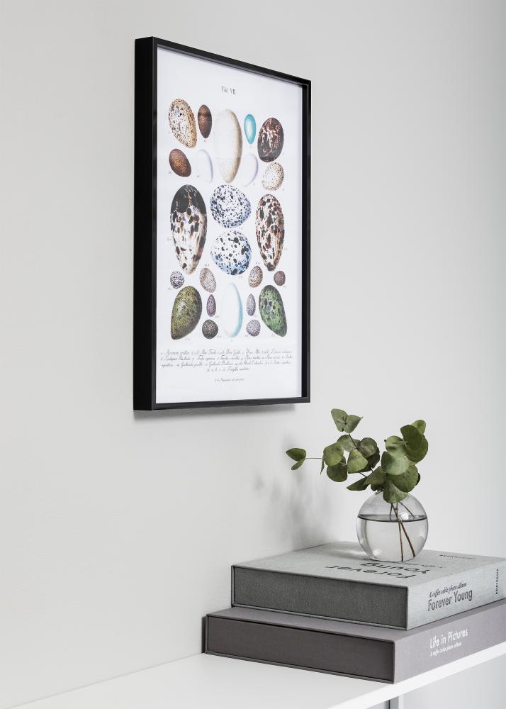 Okvir Nielsen Premium Alpha Sjajna Crna 40x60 cm