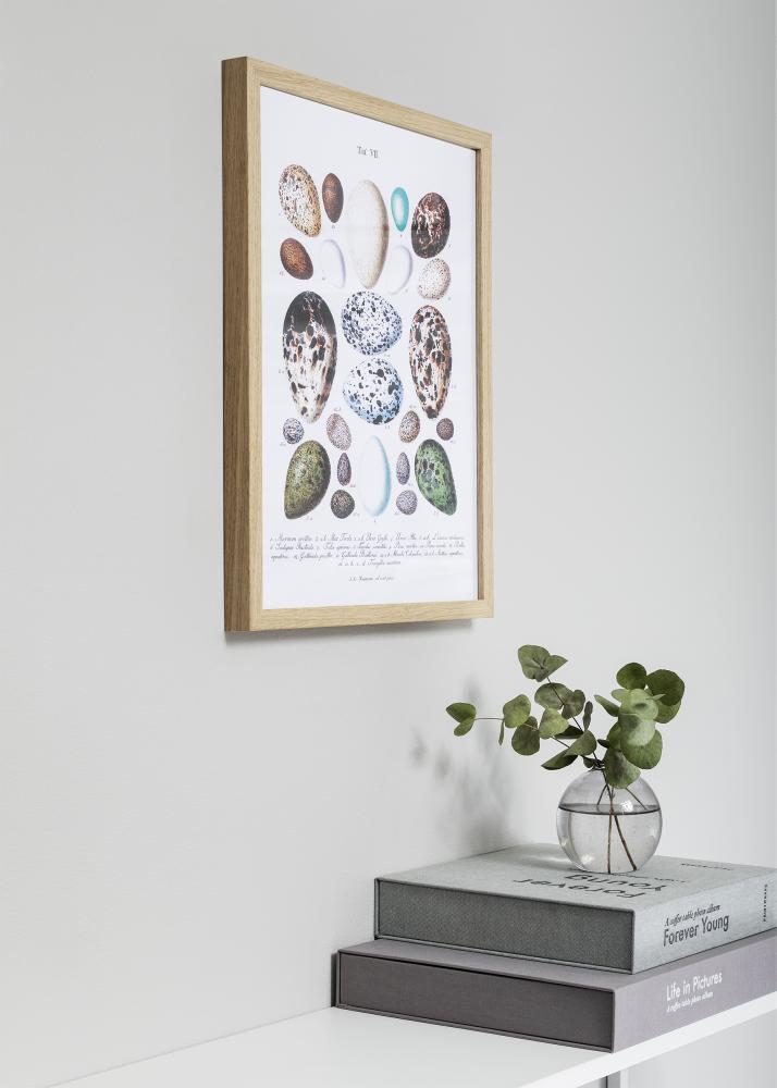 Okvir Nielsen Premium Quadrum Hrast 42x59,4 cm (A2)