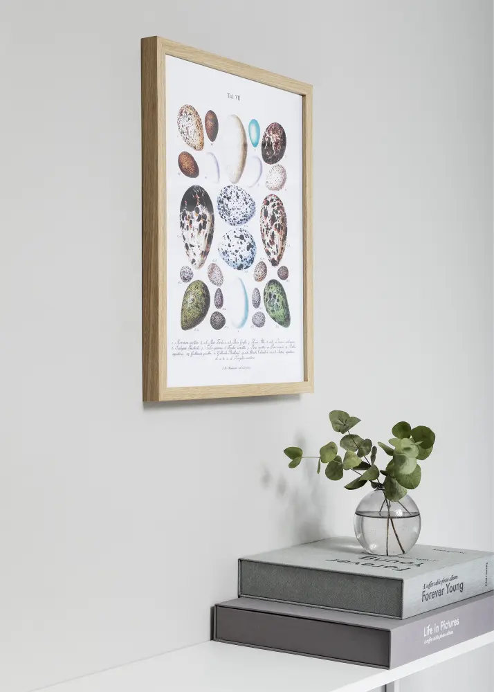 Okvir Nielsen Premium Quadrum Hrast 30x45 cm