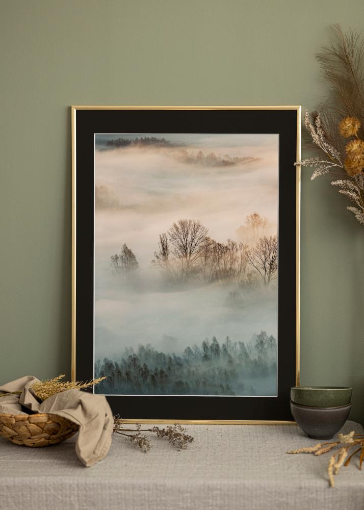 Okvir New Lifestyle Zlato 50x70 cm - Paspartu Crno 16x24 inches