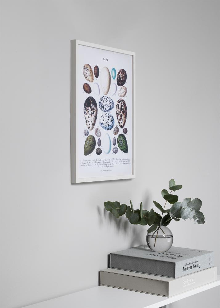 Okvir Oslo Akrilno staklo Bijelo 29,7x42 cm (A3)