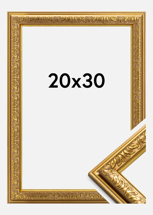 Okvir Nostalgia Zlato 20x30 cm