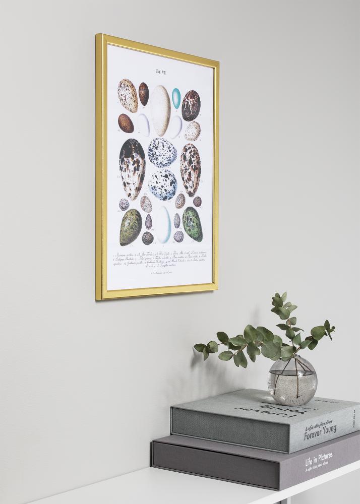 Okvir Slim Mat Antirefleksno staklo Zlato 40x50 cm