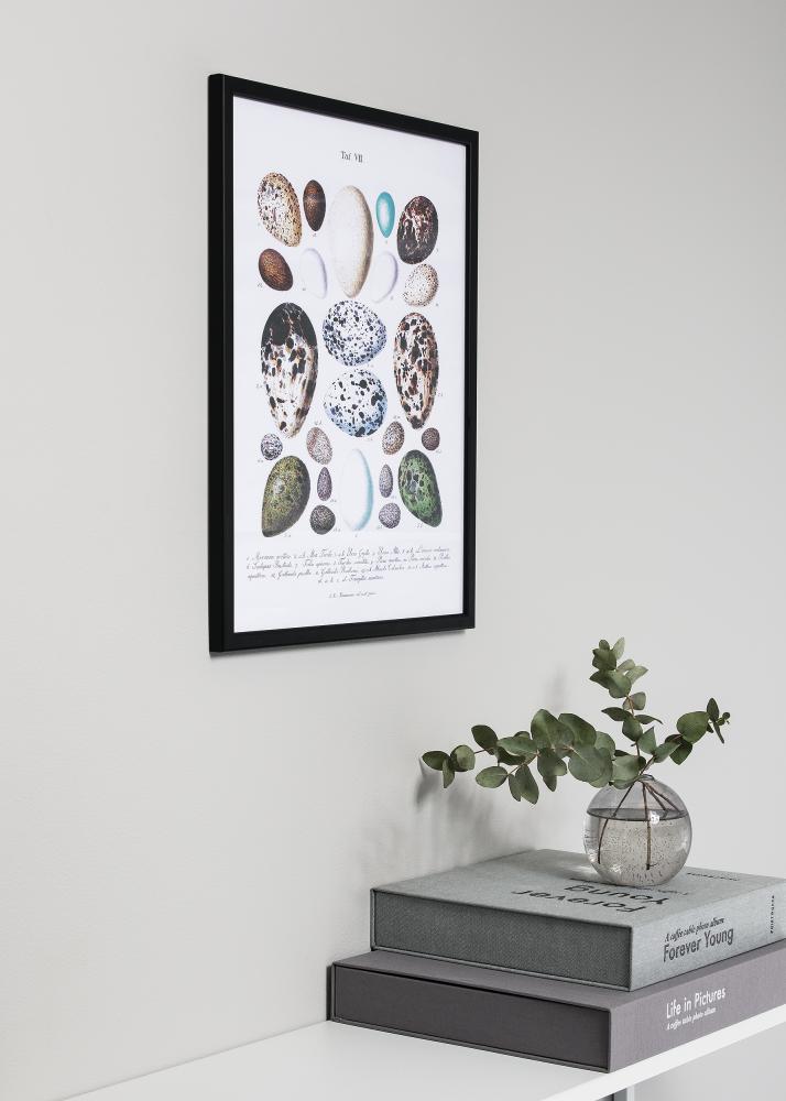 Okvir Slim Mat Antirefleksno staklo Crno 10x13 cm