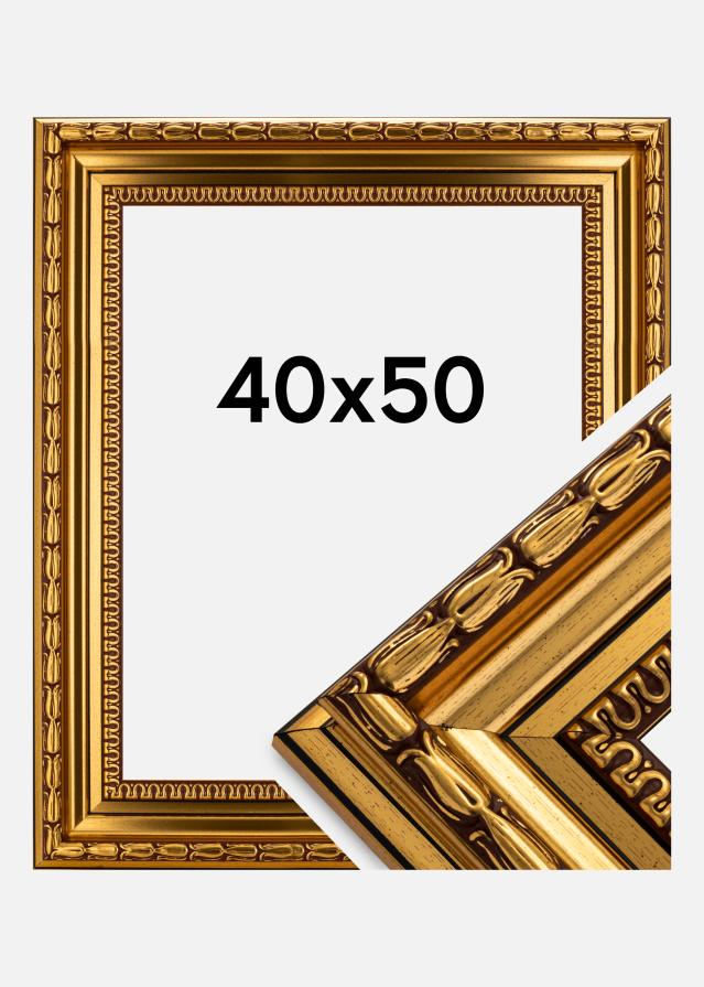 Okvir Birka Premium Zlato 40x50 cm