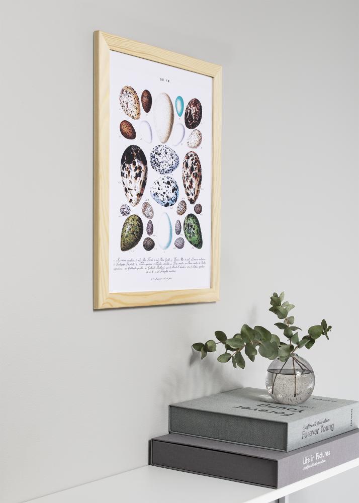 Okvir Trendline Akrilno staklo Nature 50x70 cm
