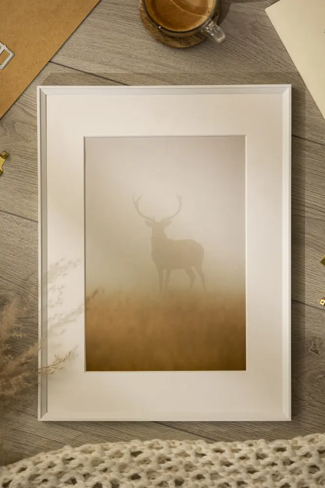 Okvir Desire Bijelo 50x70 cm - Paspartu Bijelo 42x59,4 cm (A2)